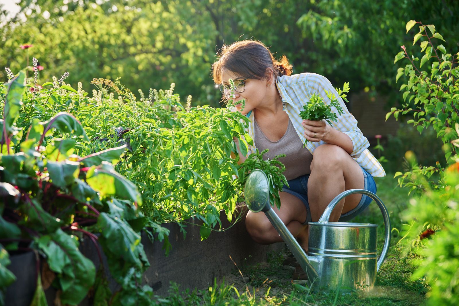 Nasiona ziół do ogrodu i na parapet – jak wybrać najlepiej