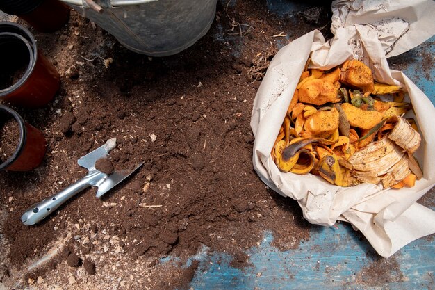 Odkrywaj tajniki kompostowania: naturalny sposób na odżywianie twojego ogrodu